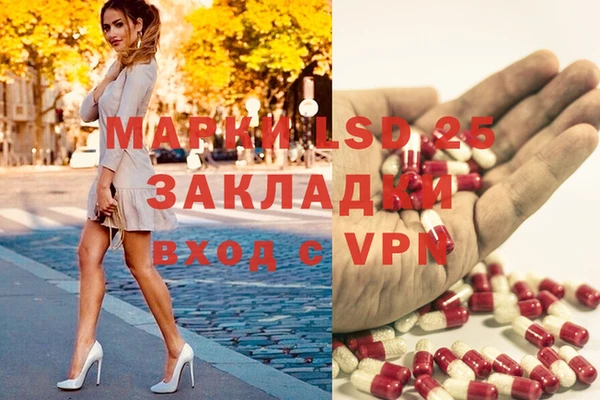 ГАЛЛЮЦИНОГЕННЫЕ ГРИБЫ Новозыбков