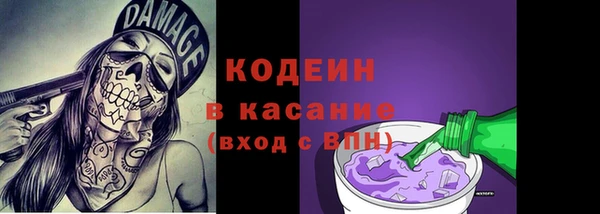 ГАЛЛЮЦИНОГЕННЫЕ ГРИБЫ Новозыбков