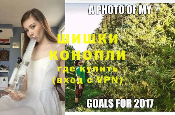 прущие грибы Нефтекумск