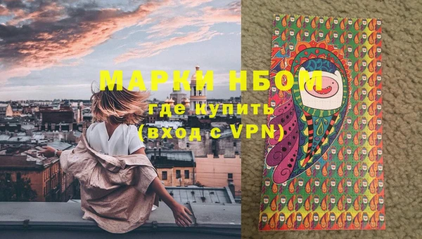 прущие грибы Нефтекумск