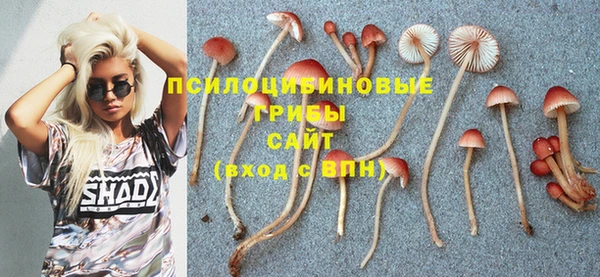 винт Болохово