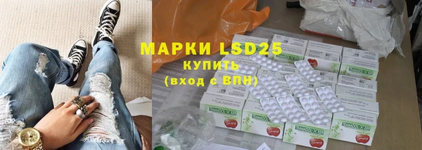 прущие грибы Нефтекумск