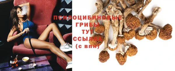 винт Болохово