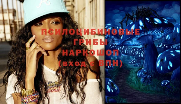 гашик Новодвинск