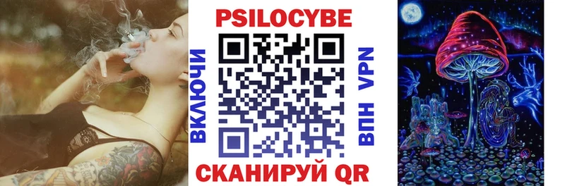 купить   Грайворон  Галлюциногенные грибы GOLDEN TEACHER 